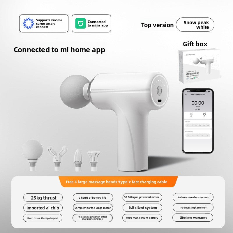 Percussion Massage Gun